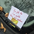 Found this on my car this morning