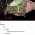 Second comment smokes mariguana