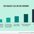 biggest lie on the Internet