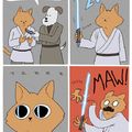 cats can't handle the light Saber