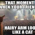 Cat arm