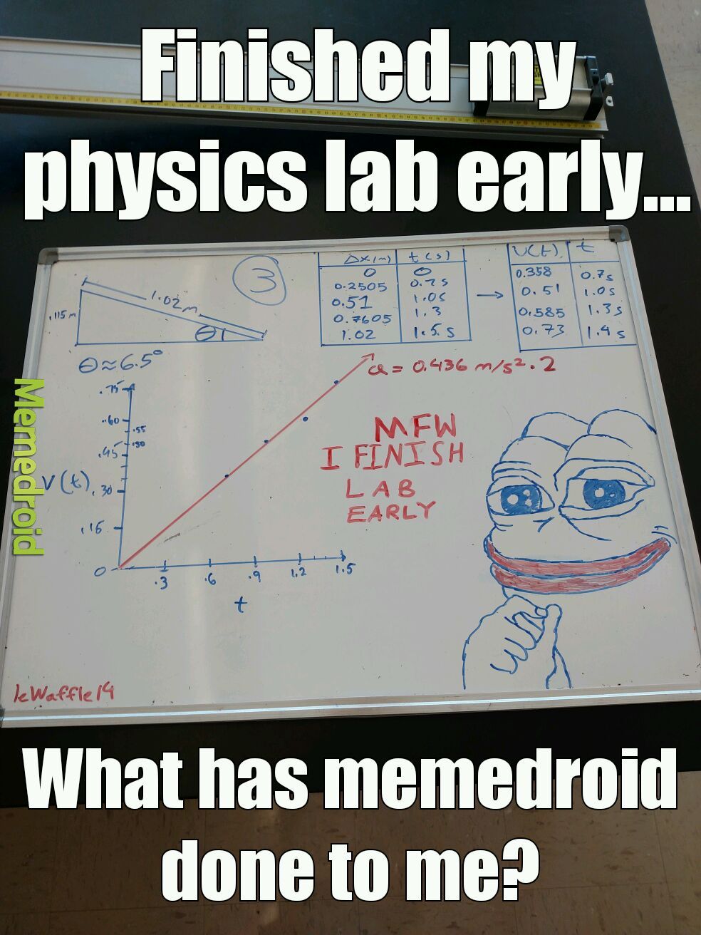 The rare physics pepe - meme