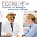 Las aventuras del doctor perro