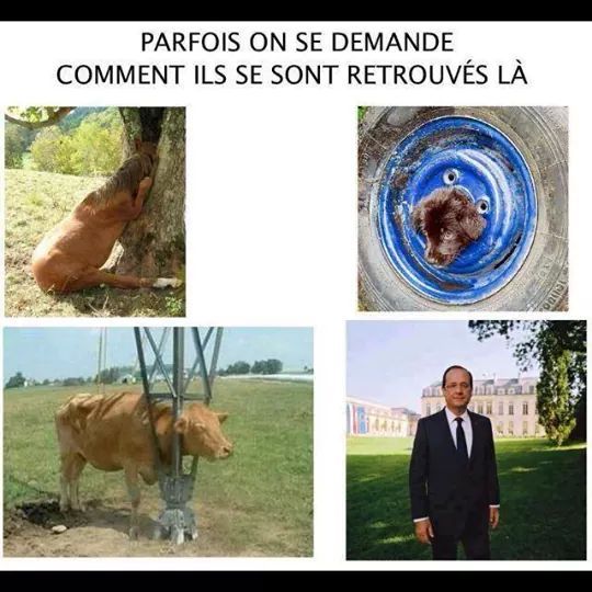 #HollandeDegage - meme