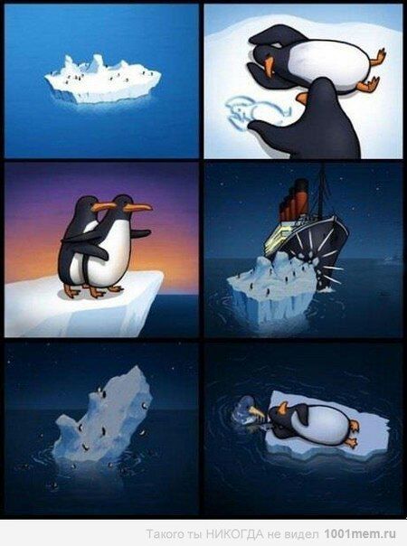 Pinguin's love - meme