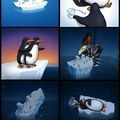 Pinguin's love