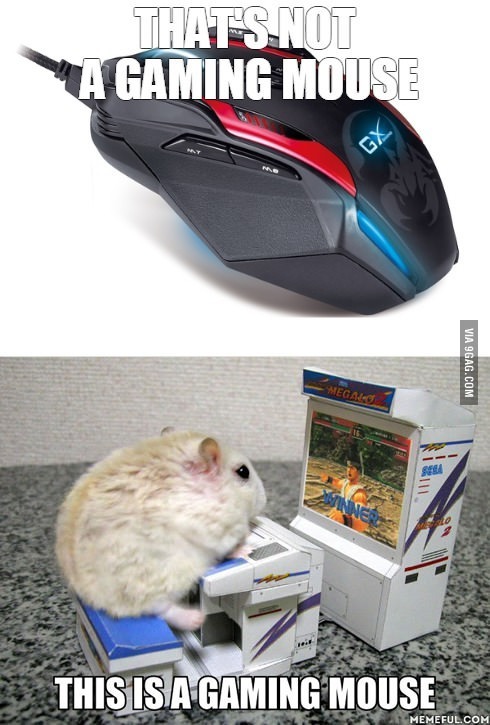 Gaming Mouse.. - meme