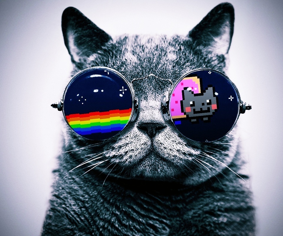 Nyan cat.......... Fiesta de positivos - meme