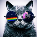 Nyan cat.......... Fiesta de positivos