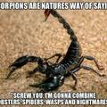 Title hates scorpions