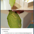 First ever man made leaf