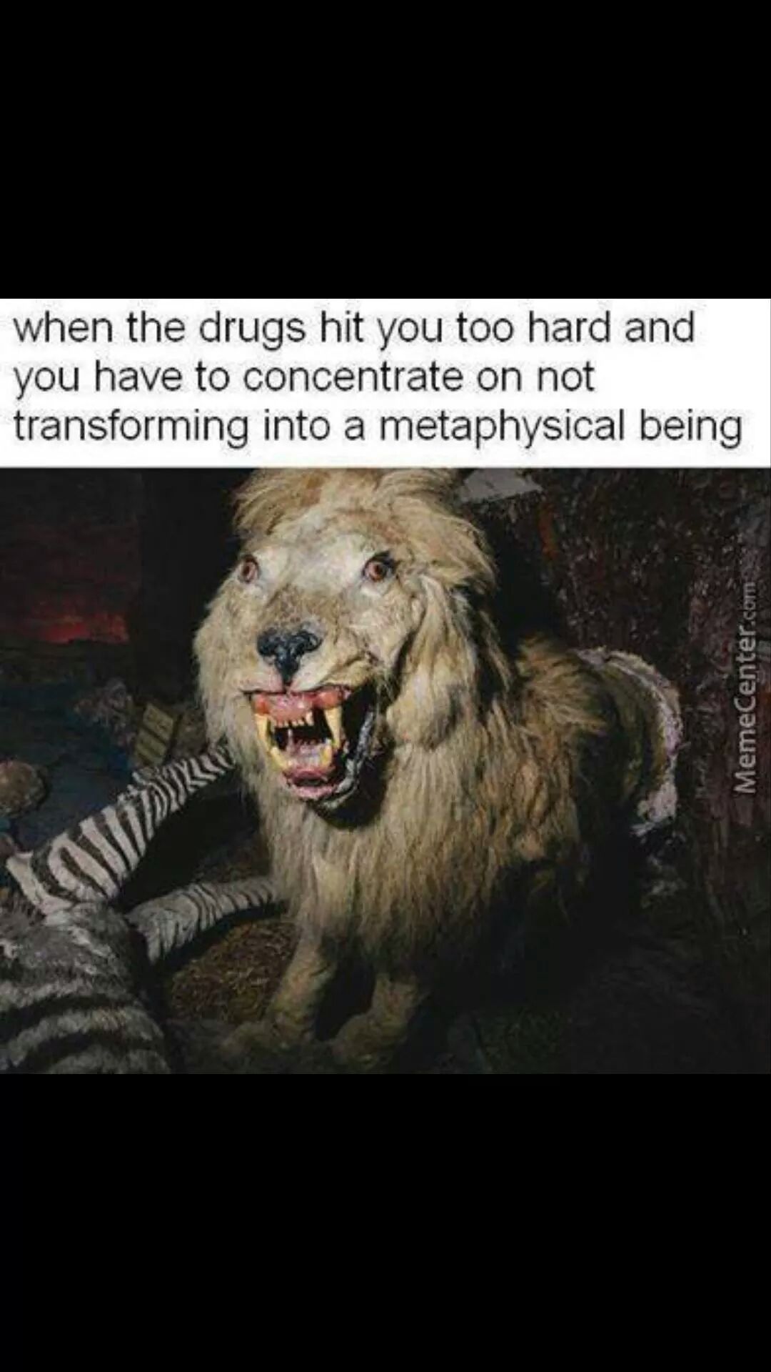 Drug - meme