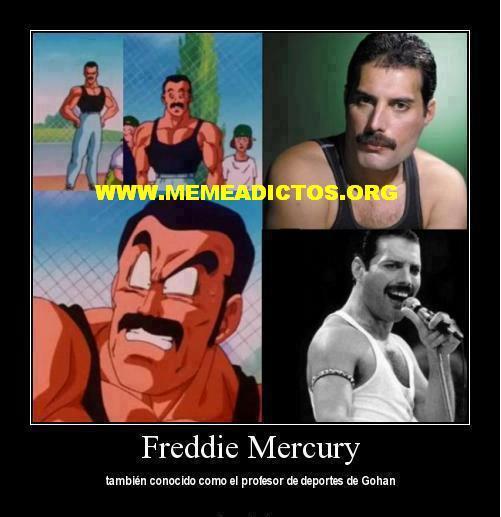 Freddie - meme