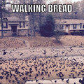 Walking bread