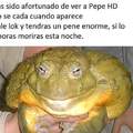 Pepe HD