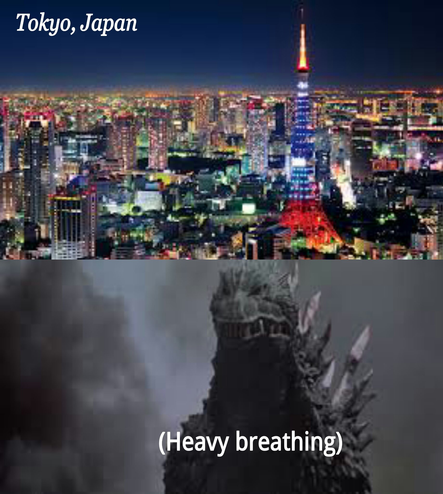 JAPAN IS MY MORTAL ENEMY - meme