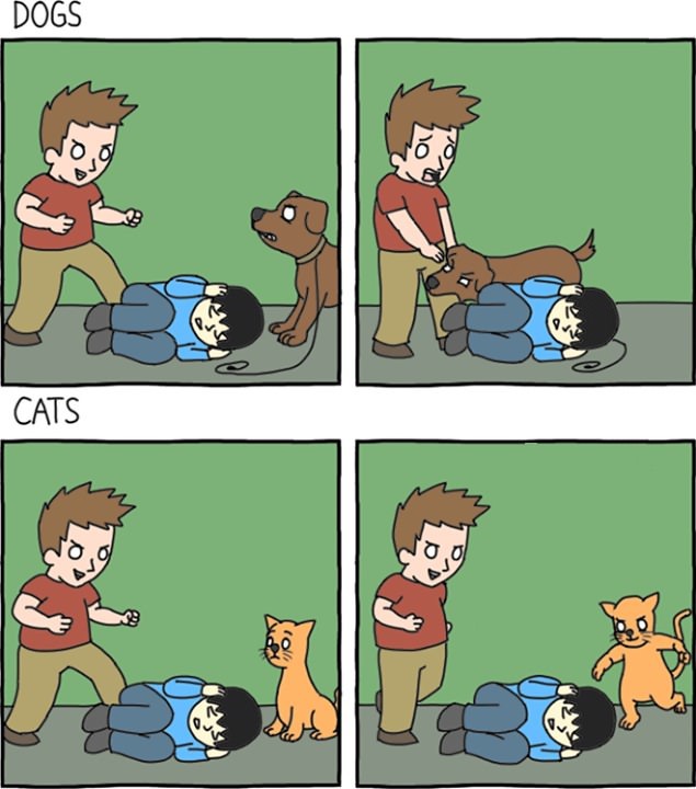 dogs turn on you,cats help you fight - meme