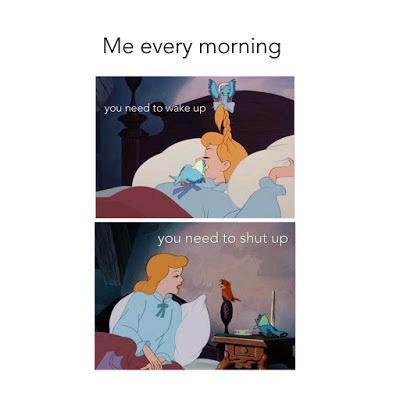 Every morning - meme