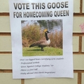 My vote is for her