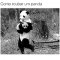 Como roubar um panda