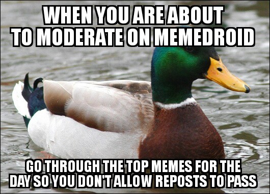 Help the moderating war - meme