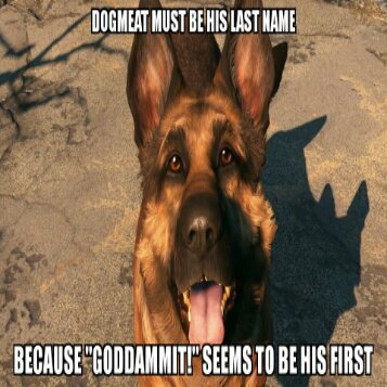 Goddammit, Dogmeat, don't run in there...NOOO! - meme