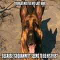 Goddammit, Dogmeat, don't run in there...NOOO!