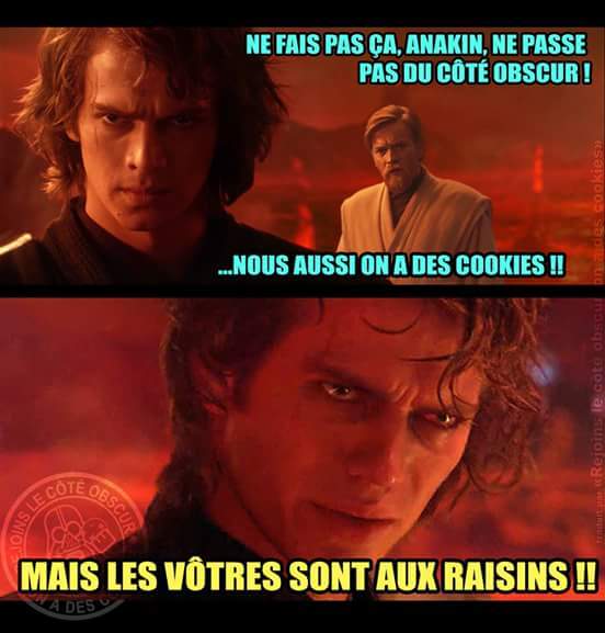 Ces jedis sont sans merci - meme