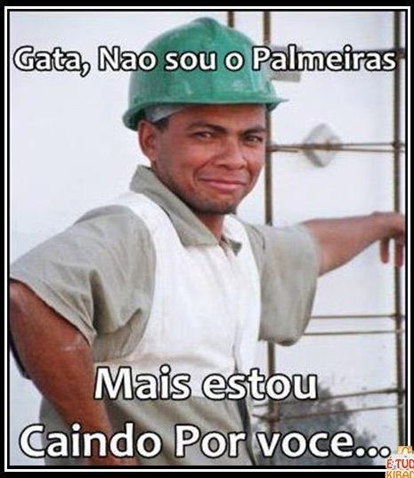 Palmeiras - meme