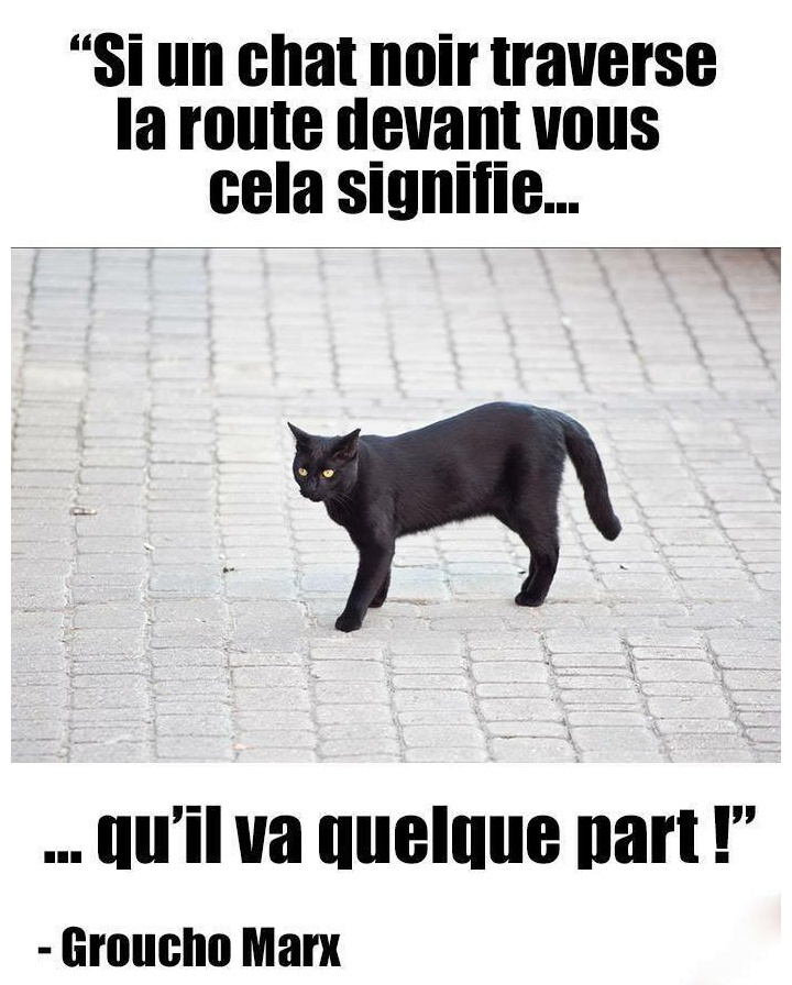 Le Chat Noir Meme By St361 Memedroid