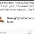 I don't believe in Canada