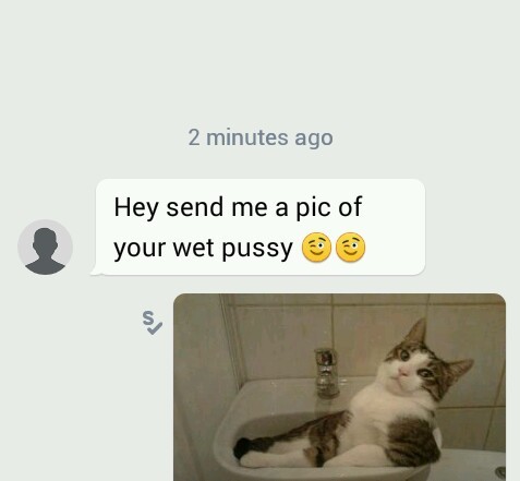 Pussy pic - meme