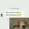 Pussy pic