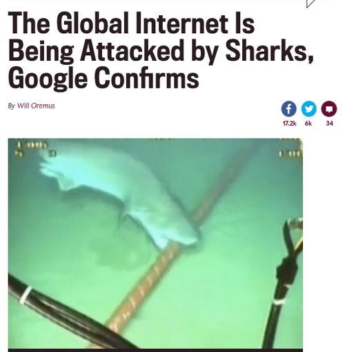 Why, sharks? Why? - meme