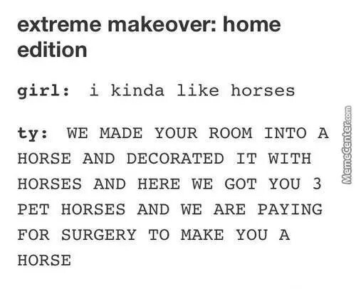 extreme makeover home edition - meme