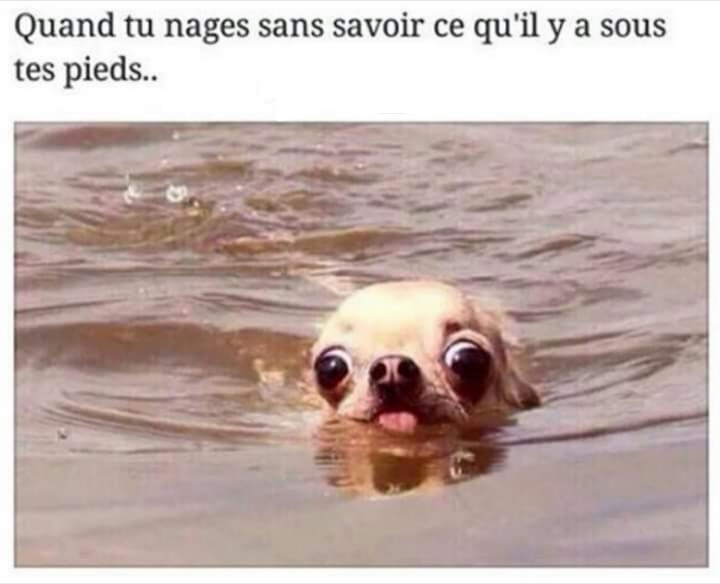 Trop Vrai !
