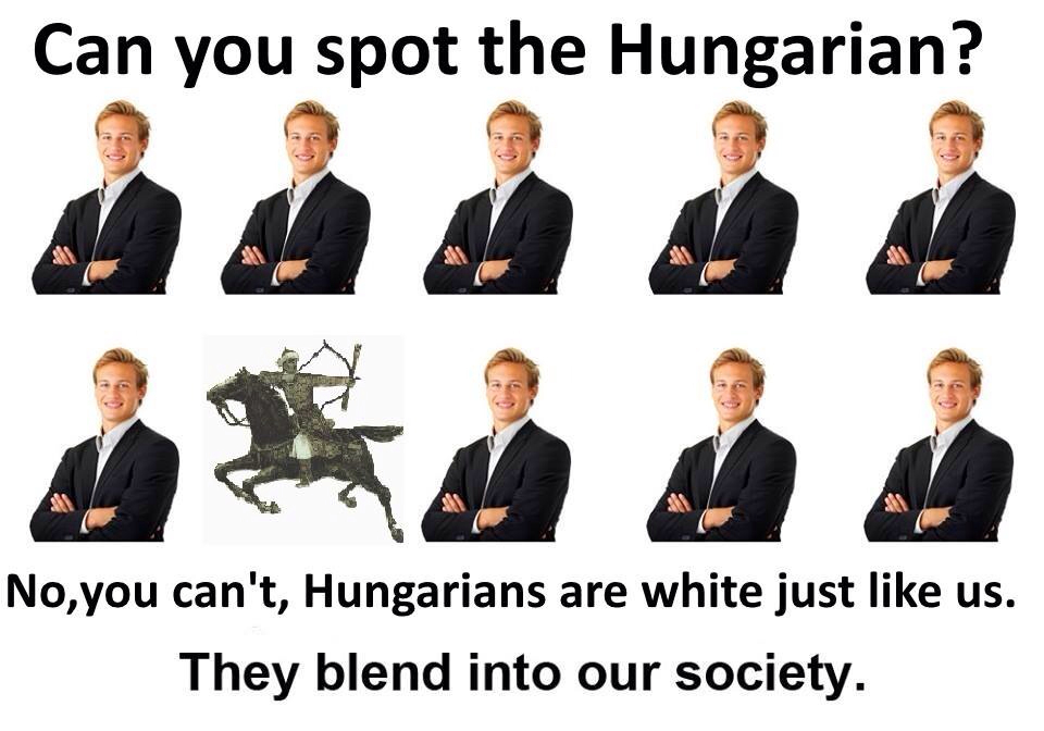Im Hungarian and i find this hilarious - meme