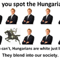 Im Hungarian and i find this hilarious