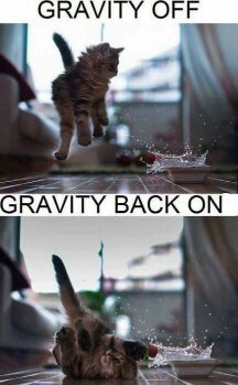 Gravity is a b**ch.... - meme