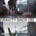 Gravity is a b**ch....
