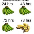 Bananas troll
