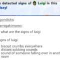 Luigi is my role model