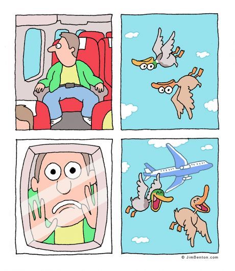 the flight - meme