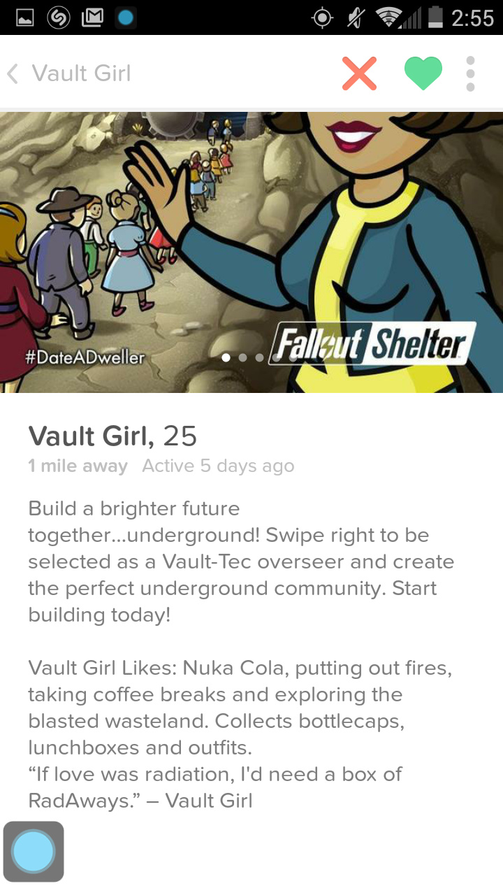 Vault girl - meme