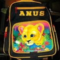 Anus the lion