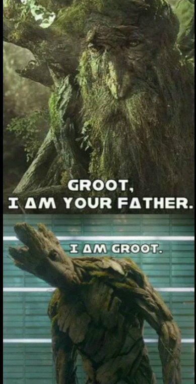 Grootbeer  - meme