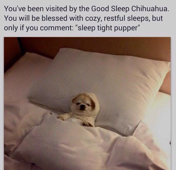 Sleep tight,pupper - meme