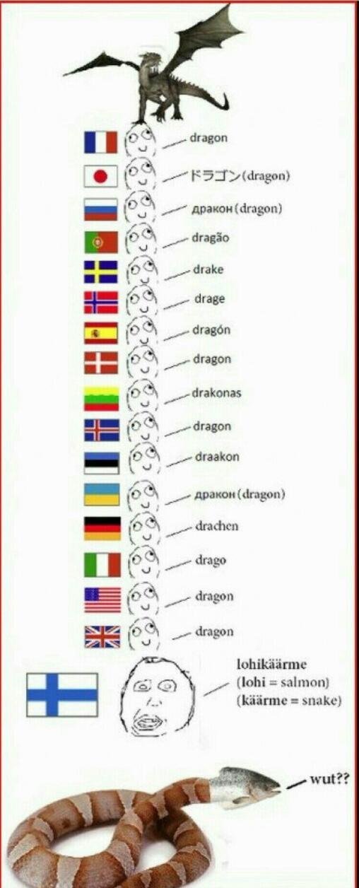 Diferenças linguísticas, Finlândia sempre surpreendendo na escrita :yaoming: - meme