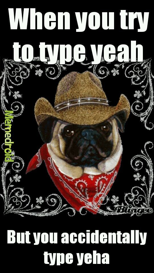 Pugs ftw - meme