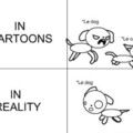 Cartoons and reality